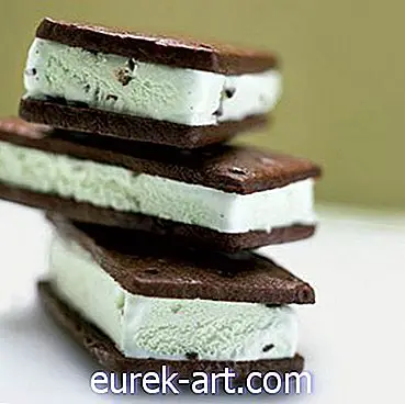 Chocolate-Mint Ice Cream Sandwiches