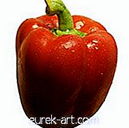 Ristede peberfrugter med skalottenløg og tomater