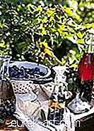 nourriture et boissons - Vinaigre de myrtille