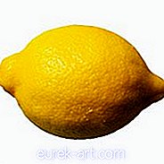 cibo e bevande - Pollo al limone
