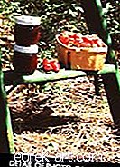 אוכל ומשקאות - ריבת תות שדה מופחתת