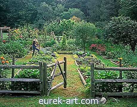 градински обиколки - Кънектическа градина в Кънектикът