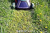 庭園 - 芝刈り機用洗剤と非洗剤オイルの違い
