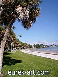 taman - Kira-kira untuk menyuburkan Rumput Augustine di Florida