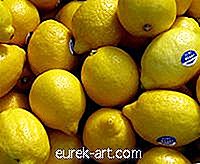 Di Negara-negara Apa Pokok Lemon Berkembang?