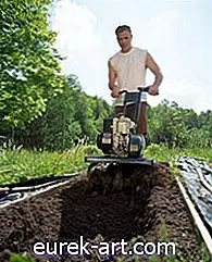 puutarha - Kuinka lisätä fosforia maaperään