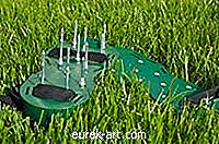 כלי הדשא לחבטות חורים בחצר
