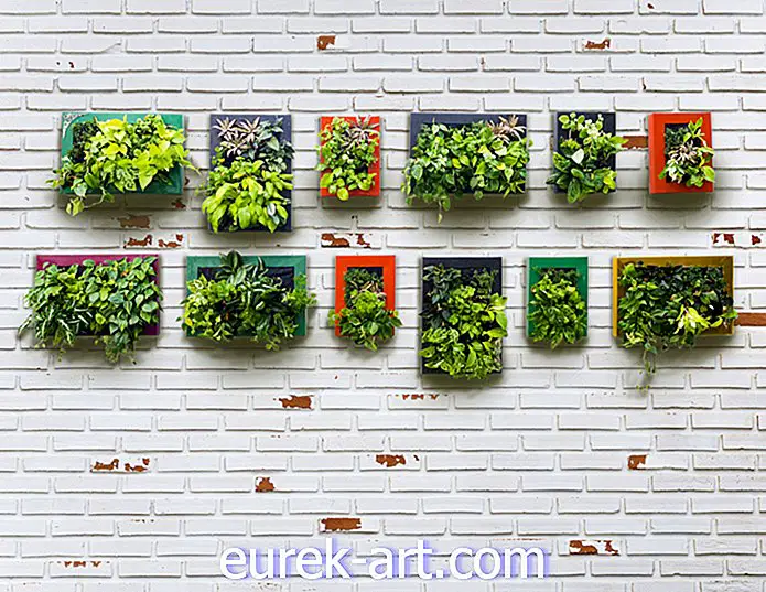 ideas de jardinería - Más de 30 jardines verticales para mostrar tu pulgar verde