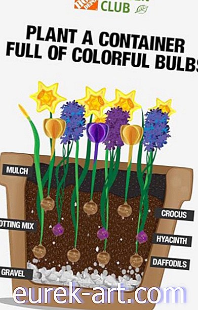 dārzkopības idejas - Šī slāņošanas tehnika garantē vienmērīgu krāsainu pavasara ziedēšanu