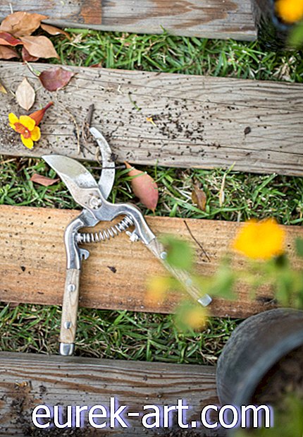 trädgårdsidéer - 20 bästa trädgårdsaxar för att beskära, klippa och klippa till ditt hjärtas innehåll