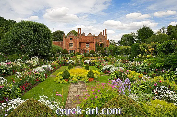 10 kaunista ideaa englantilaisten puutarhojen istuttamiseen
