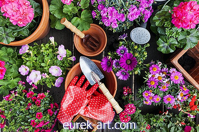 ideas de jardinería - 20 accesorios de jardín Genius que puedes comprar en Amazon ahora mismo