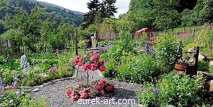 ідеї садівництва - Як стати професійним дизайнером саду?