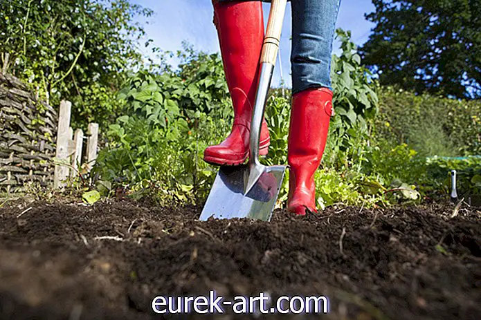 sodininkystės idėjos - 20 mielų ir patogių sodo batų, kad šį pavasarį pasodintumėte pėdas