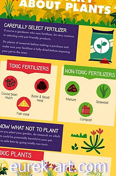 8 būdai, kaip išlaikyti savo augintinius toliau nuo savo sodo