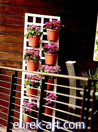 idee di giardinaggio - Crea un meraviglioso giardino verticale in 5 semplici passaggi