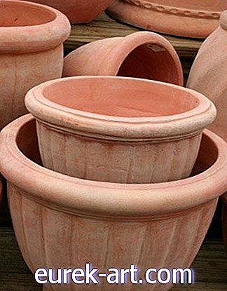 Winterbestendige potten en ceders