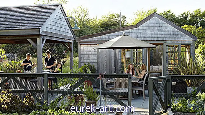 puutarhanhoito-ideoita - 7 puutarhanhoitovinkkejä Garden Design Prosta