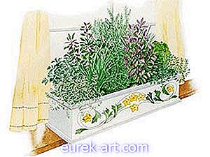 zahradnické nápady - Vnitřní Herb Box zahradní plán