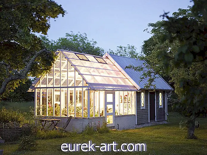 23 budsjettvennlige DIY-drivhus som vil se fantastisk ut i hagen din