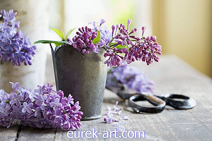 садівництво - 7 розумних порад, щоб свіжі квіти тривали довше