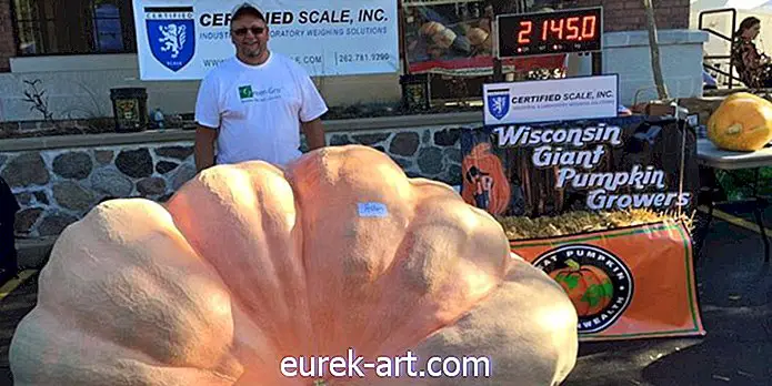 Dette kolossale græskar netop brød rekorden for det største græskar i Nordamerika