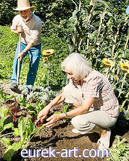 práce na zahradě - Zahradnictví by mohlo být podle vědy odpovědí na všechny vaše problémy