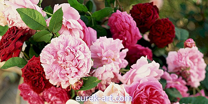 κηπουρική - 10 τρόποι να στυλ αγαπημένα σας λουλούδια