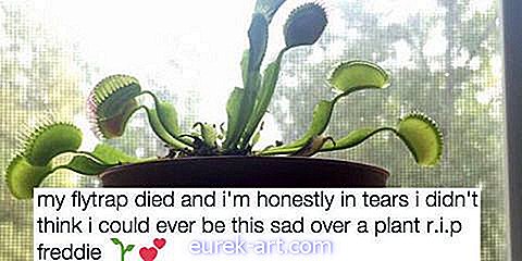 Οι άνθρωποι γράφουν μνημεία για τα νεκρά τους φυτά και είναι απολαυστικό