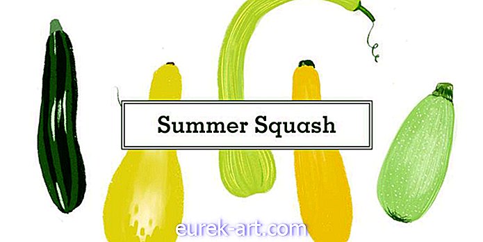 jardinería - 16 tipos de squash y todo lo que necesitas saber sobre ellos