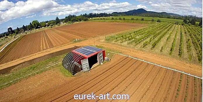 Ez a "dobozból származó farm" mindent tartalmaz, amire szükség van a saját gazdaság elindításához