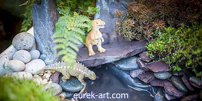 I "Dino Parks" fai-da-te sono il modo migliore per far divertire i bambini nel giardinaggio