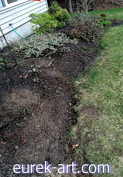La forma más fácil (y más barata) de darle a su jardín una mejora importante