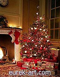 vacanze e celebrazioni - Come sostituire un fusibile sulle luci dell'albero di Natale