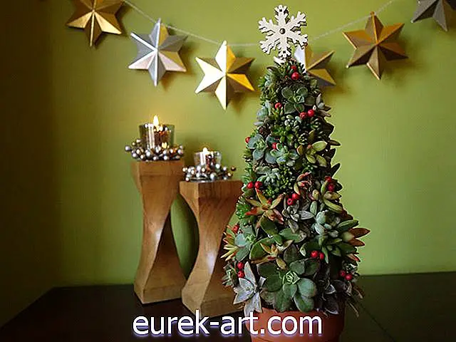 helligdage og fester - Opret en levende sukkulent juletræ-tutorial