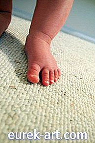 Dom - Infestation Bug from New Carpet Install