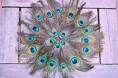 Prestieranie peria Peacock Feather