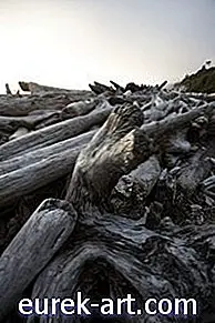 itthon - Hogyan készítsünk driftwood ágyat?