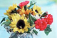 Σπίτι - Τι λουλούδια μπορούν να διευθετηθούν με ηλιοτρόπια;