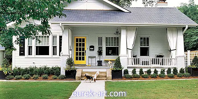 كيف منزل مشمس في ولاية كارولينا الشمالية يزين مع الأصفر