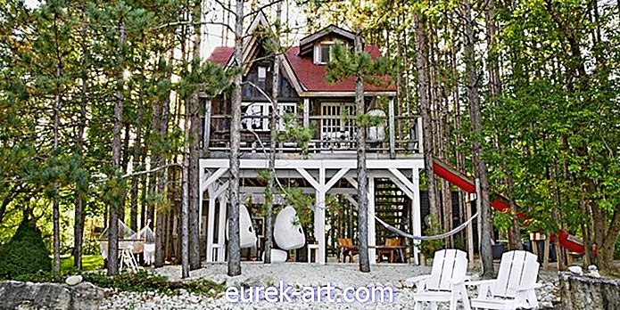 Peek μέσα σε ένα σπίτι 312 τετραγωνικών ποδιών στο δάσος-χτισμένο σε στύλους!