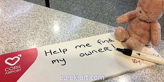 histórias inspiradoras - Este urso de pelúcia rosa está perdido e a Internet está tentando encontrar seu dono