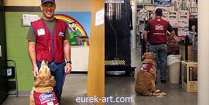 Магазин Lowe в Техасі найняв інваліда-інваліда - і його службову собаку