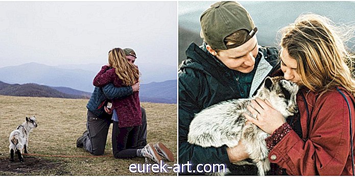 povești inspiratoare - Urmăriți cum acest tip a scos o propunere absolut adorabilă cu un copil de capră