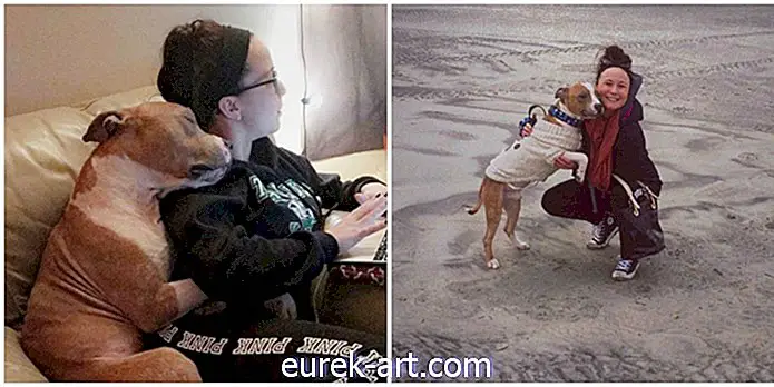 Dette virale foto af en krisehunde, der klemmer med sin nye mor, smelter dit hjerte