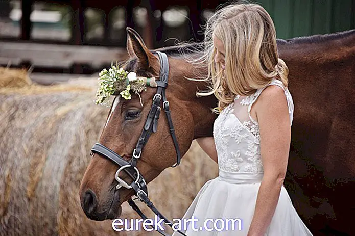 Szeretjük a gyönyörű módot, amellyel a menyasszony esküvőjében mentőlovakat vett fel
