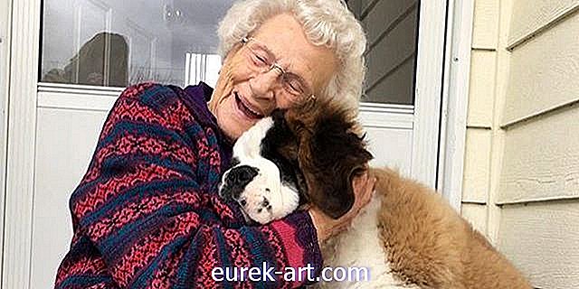 dzieci i zwierzęta - Jak ten olbrzymi szczeniak Bernardyna i jego 93-letni sąsiad stali się najlepszymi przyjaciółmi