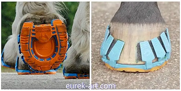 Pantofii de cal de fier vor fi în curând învechiți datorită acestei noi invenții