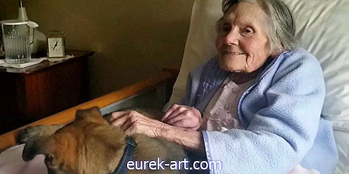 एक 11-सप्ताह-पुरानी पिल्ला की इस बुजुर्ग महिला की प्रतिक्रिया ने उसकी नर्स को आँसू में बदल दिया