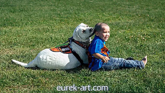 copii și animale de companie - Acest băiat autist se bazează pe un câine numit Lego pentru a-și calma coșmarurile